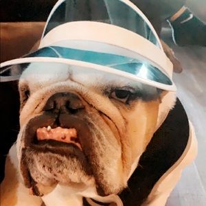 Meet your Posher, Ava